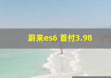 蔚来es6 首付3.98